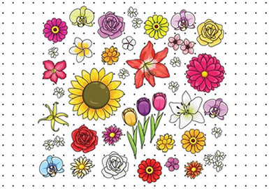 Desenhos para colorir de colorir a linda flor pelos números  