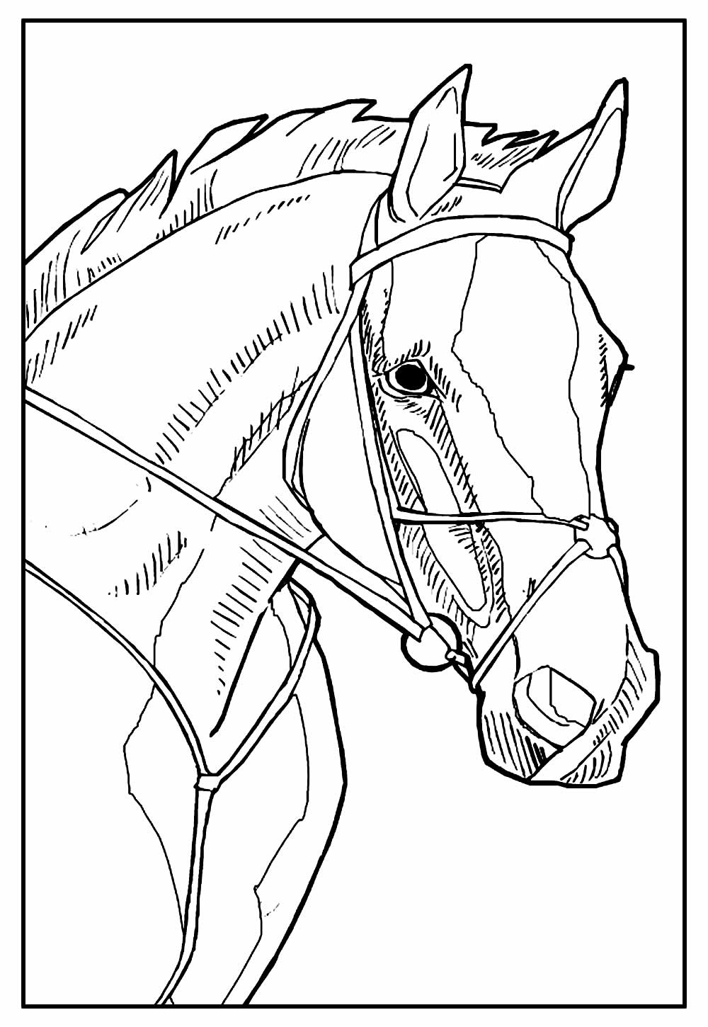 Desenho de Cavalo para imprimir