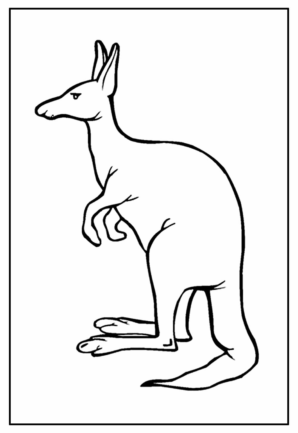 Desenho de Canguru para colorir
