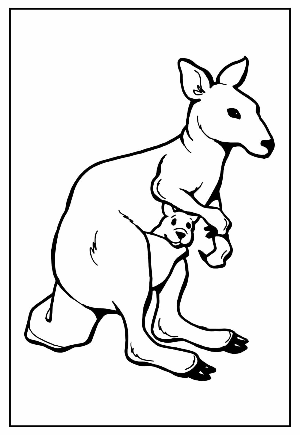 Desenho de Canguru para pintar