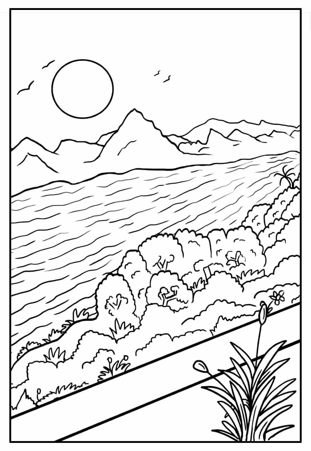 Desenho de Natureza
