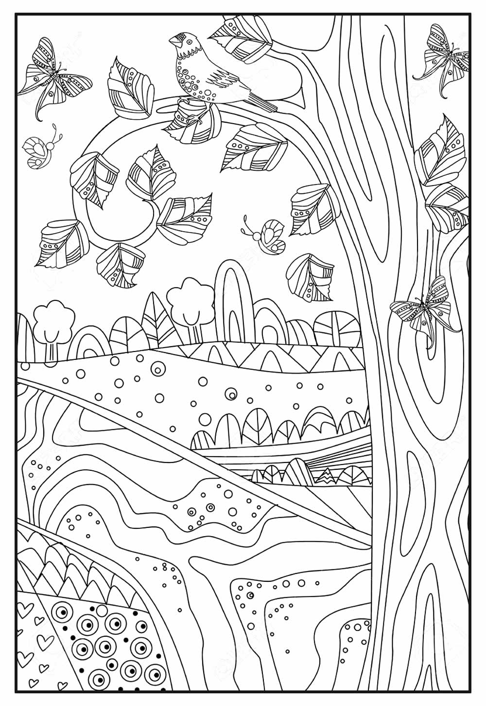 Desenho de Natureza