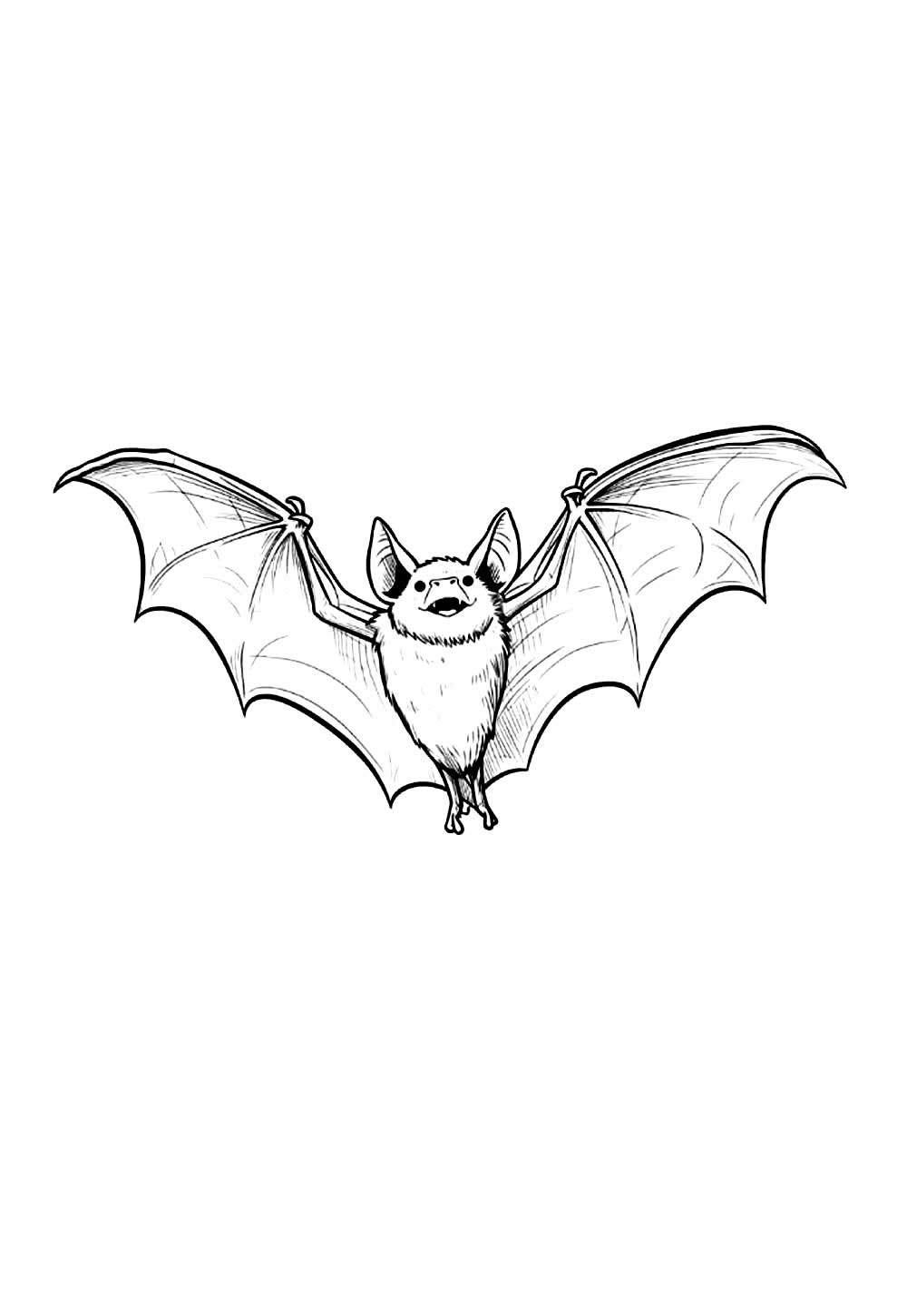 Desenho de Morcego para colorir