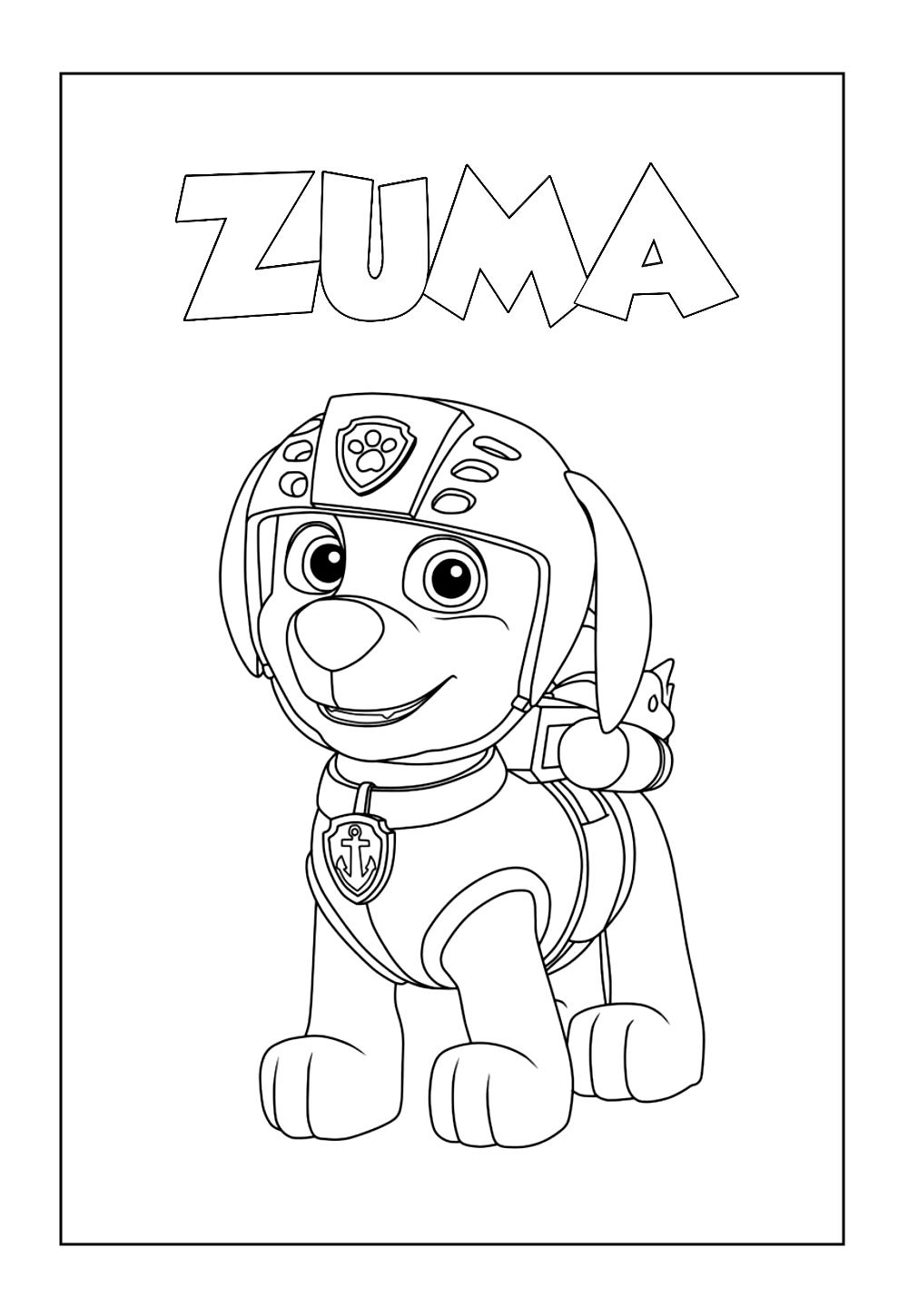 Desenhos Zuma Pintar