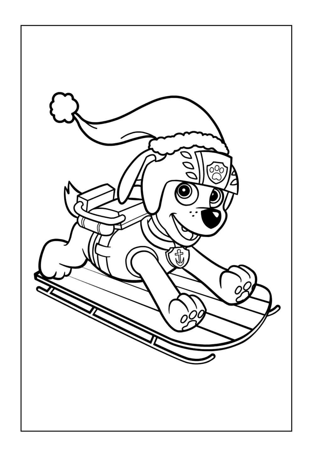 Desenhos Zuma Pintar
