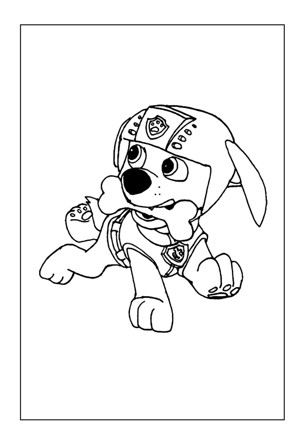 Desenhos Zuma