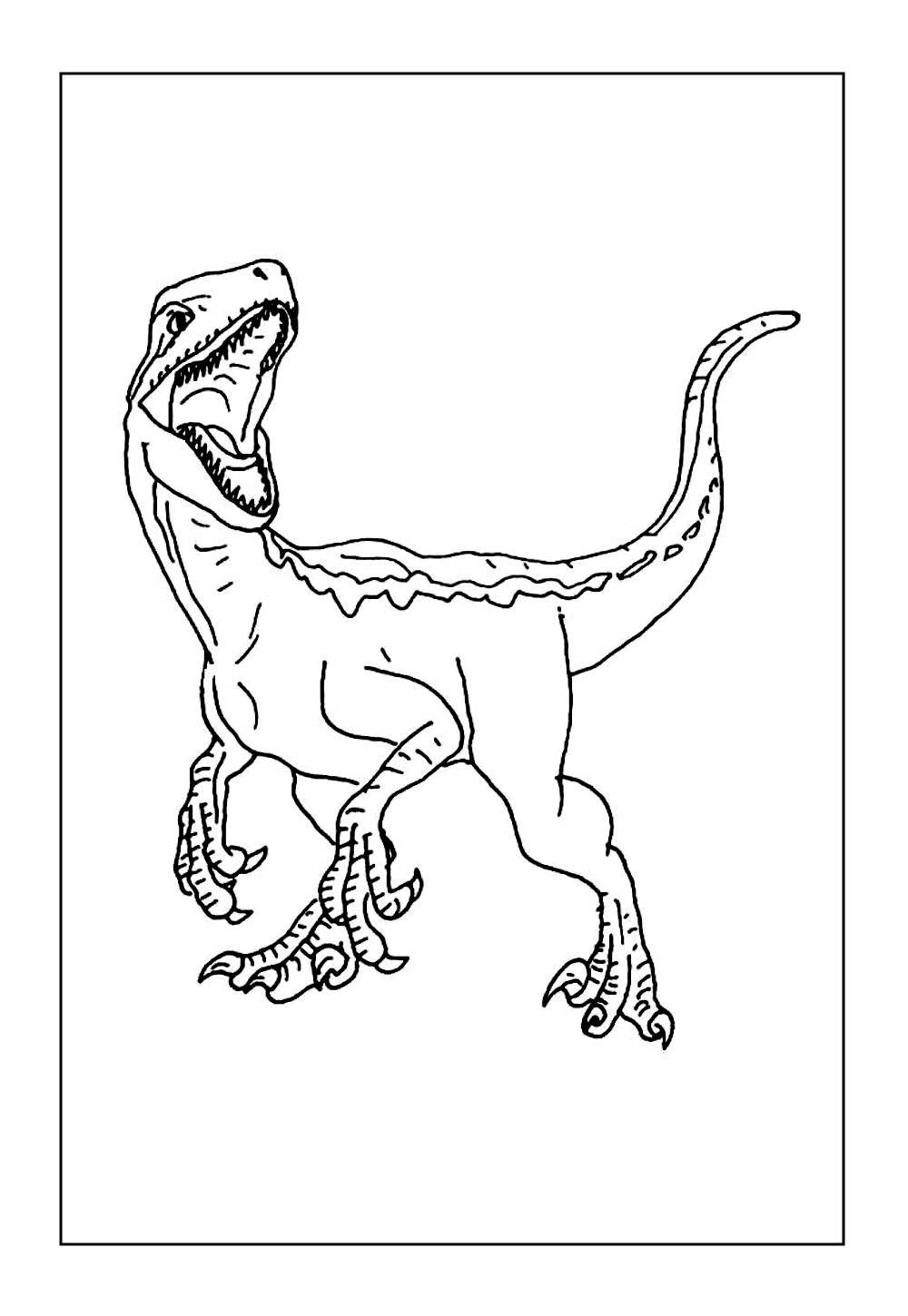 Desenho de Dinossauro Velociraptor para colorir