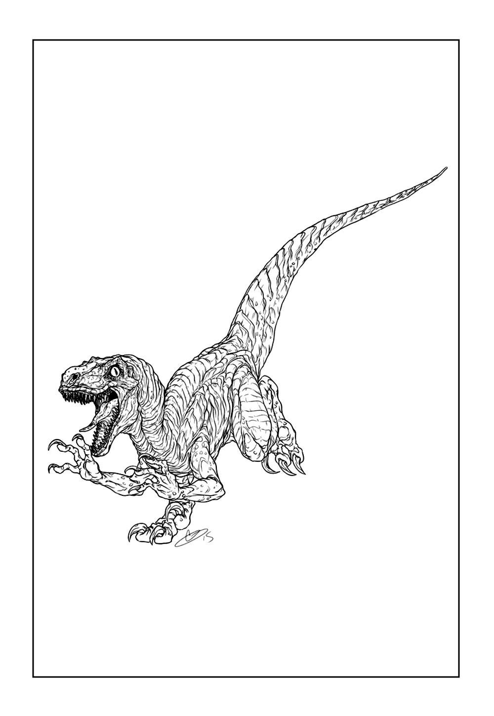 Velociraptor para colorir