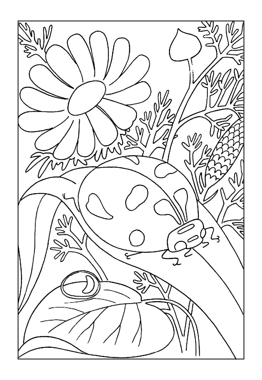 Desenho para Colorir de Joaninha
