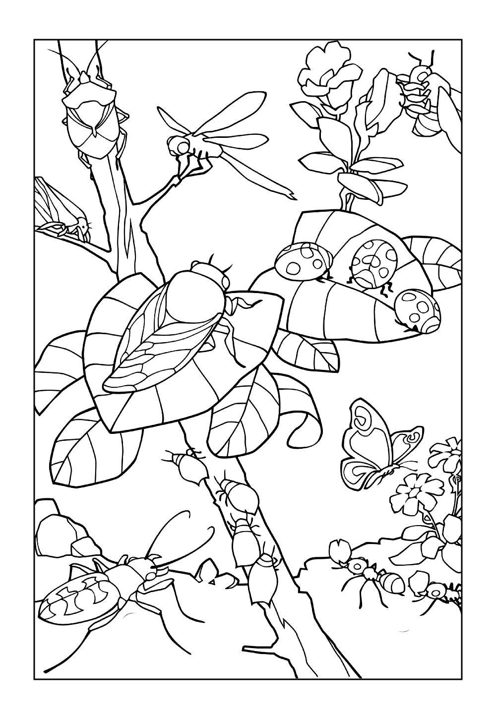 Joaninhas para colorir
