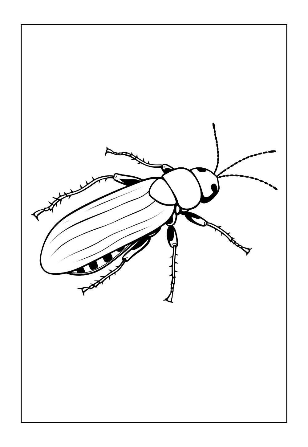Desenhos de Barata para colorir