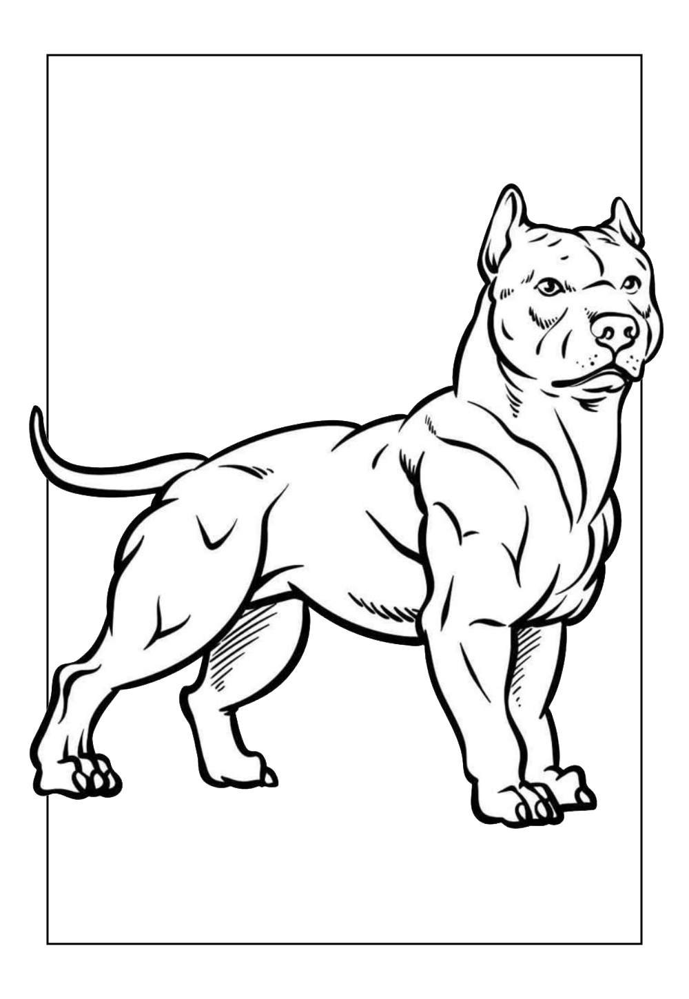 Desenho de Pitbull para colorir e pintar