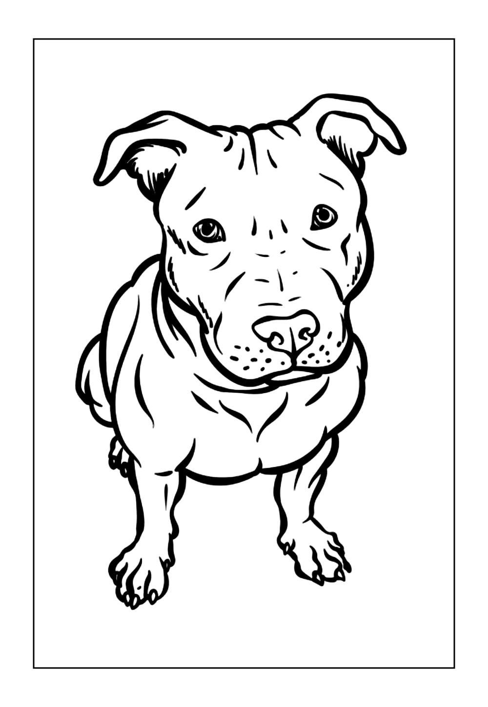 Desenho de Pitbull para colorir e pintar